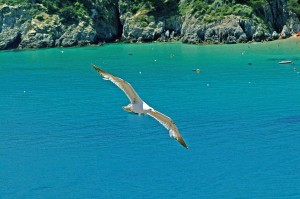 Le Isole Tremiti