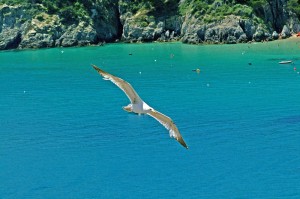 Le Isole Tremiti